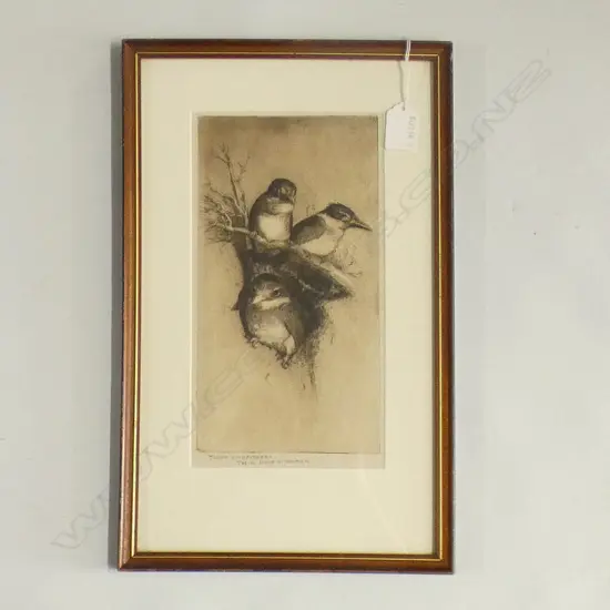 TREVOR LLOYD ETCHING, 'YOUNG KINGFISHERS, THEIR HOME IN THE BA(N)K'.  CERT OF AUTHENTICITY VERSO. 250 x 130mm