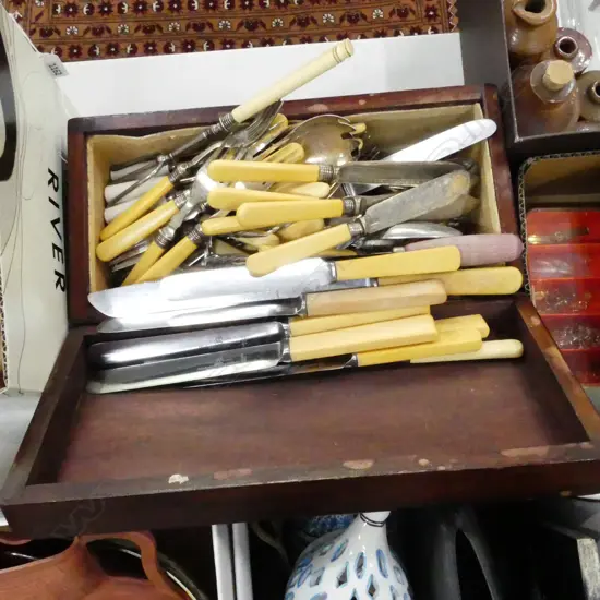 WOODEN BOX ASST. CUTLERY INCL. CASEIN 'BONE' HANDLED KNIVES