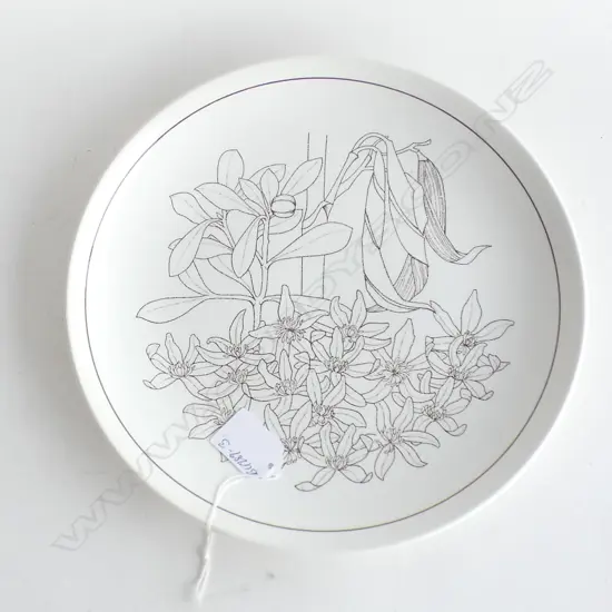 CROWN LYNN EXPERMENTAL DESIGN PLATE NOT IN PRODUCTION unmarked....