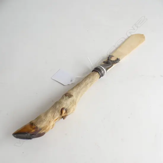 ANIMAL HOOF LETTER OPENER BONE BLADE AF BROKEN TIP