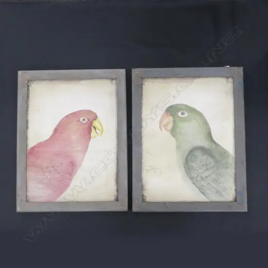 PR PARROT PAINTINGS 380 X 530MM