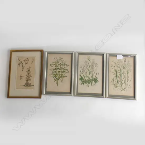 4 FRAMED VINTAGE BOTANICAL PRINTS 140 X 220MM