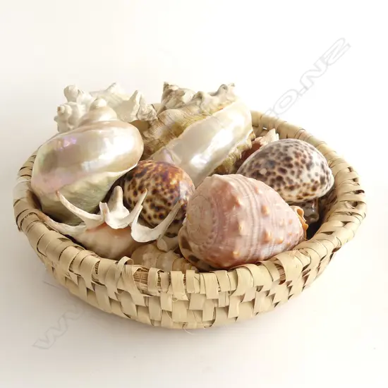BASKET ASST. SHELLS