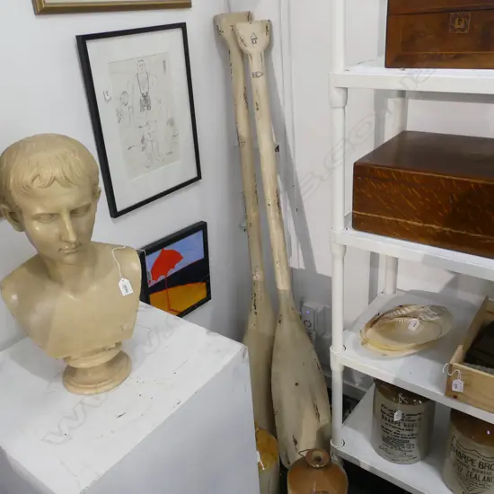 PR PAINTED OARS L.1520mm