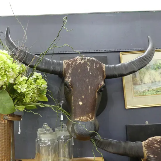 FAUX BULLOCK TROPHY HEAD ON PLAQUE BACK W.890mmone eye missing