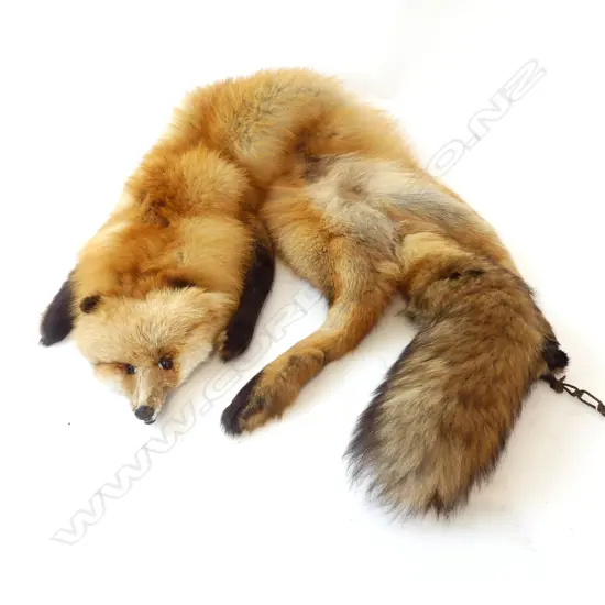 FOX FUR STOLE WITH HEAD, LEGS & TAIL