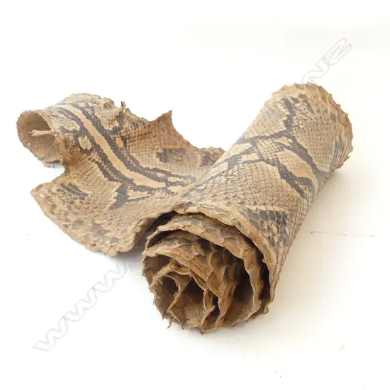 SNAKESKIN HIDE 