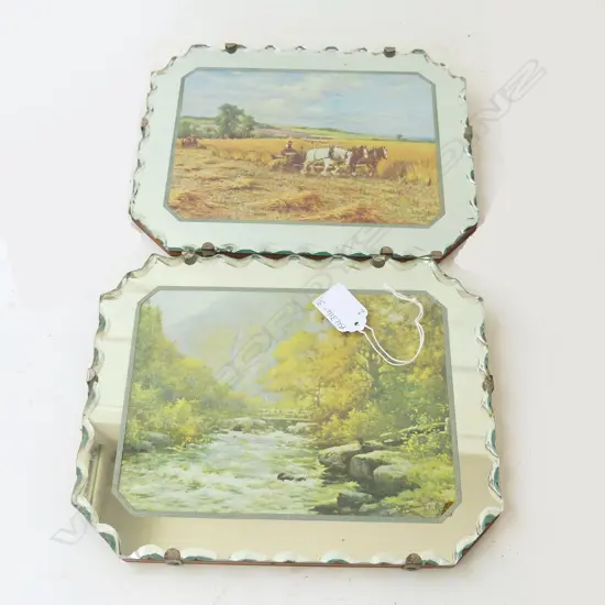 PR WOOD BACKED BEVELLED MIRROR FRAMED PRINTS 255 X 205MM