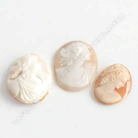 (19039) 3 ANTIQUE CARVED SHELL CAMEO BROOCH PANELS
