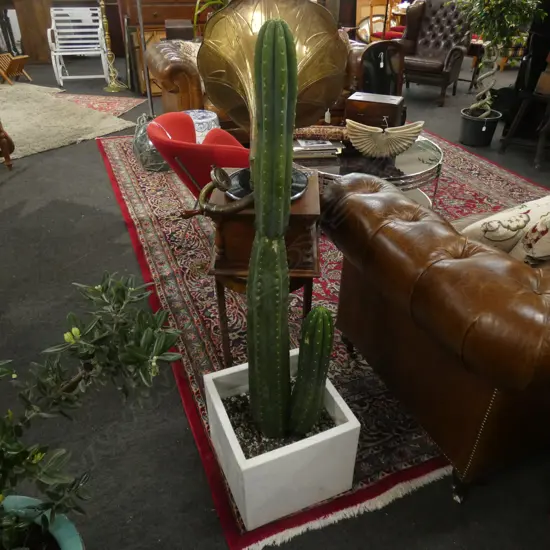 LG SAN PEDRO CACTUS (H 1320MM) IN GRANITE POT