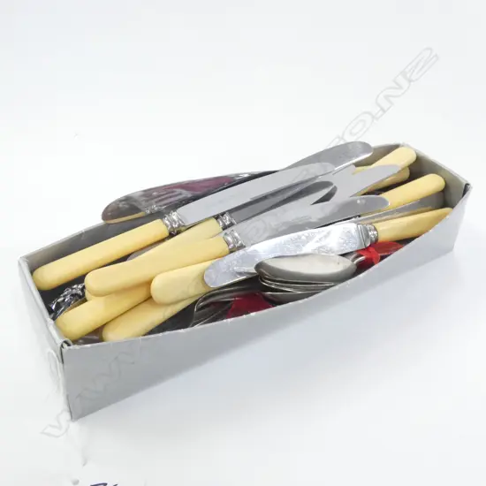 TRAY ASST CUTLERY INCL. 12 'BONE' HANDLED KNIVES