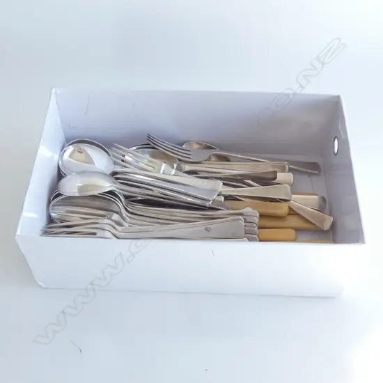 BOX SILVER PLATE & CELLULOID HANDLE CUTLERY 