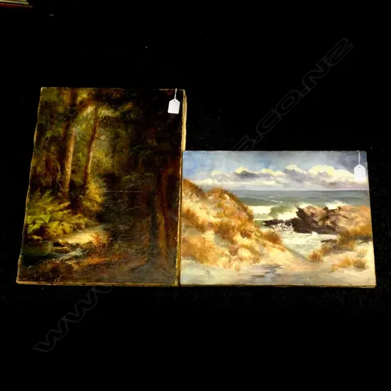2 OILS ON CANVAS, ONE SIGNED B PARTRIDGE, BUSH SCENE w CRAQUELURE 330 x 460mm & SEASCAPE U/S 300 x 400mm UNFRAMED 