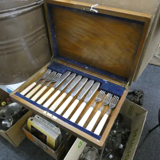 'BONE' HANDLED FISH KNIVES SET, CASED W.350mm