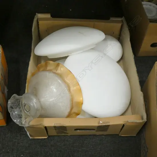 BOX LOT 3 LARGE WHITE FROSTED GLASS LIGHT SHADES ETC