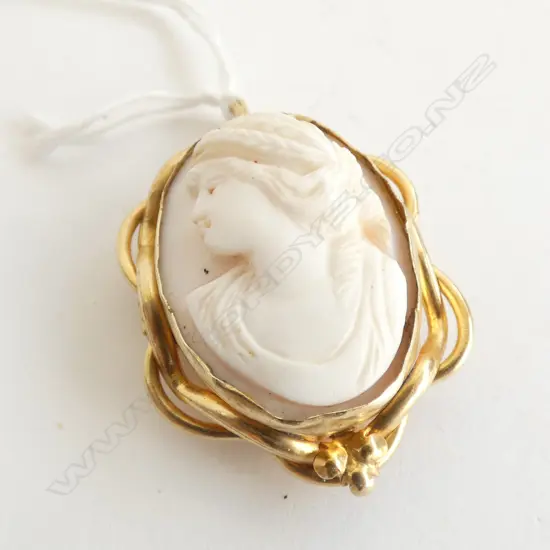GOLD PLATED FRAMED CAMEO BROOCH