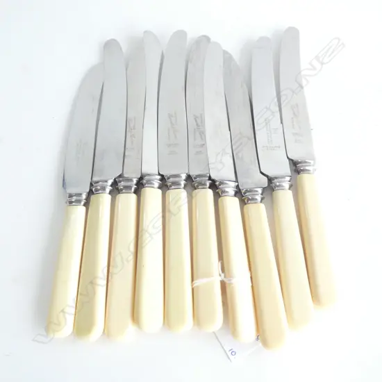 10 'BONE' HANDLED KNIVES 