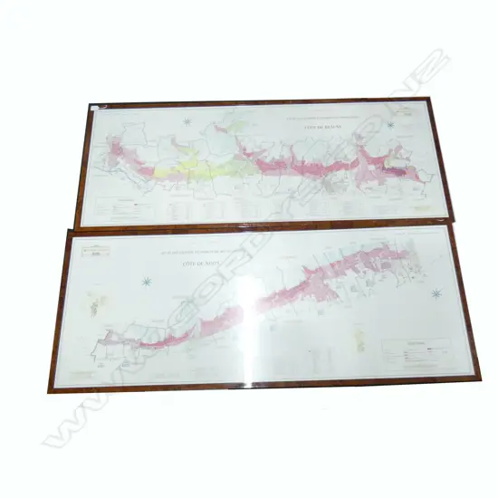 PR FRAMED MAPS COTE DE BEAUNE & COTE DE NUITS 570x1490mm