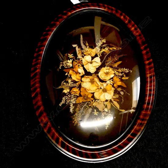 CONVEX FRAME w. DRIED FLORAL DISPLAY H.590mm
