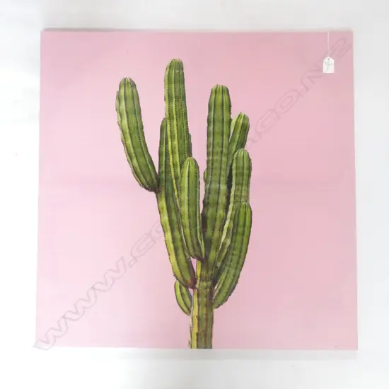 MACHINE PRINT ON CANVAS 'CACTUS' 700 X 700MM