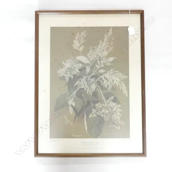 EMILY HARRIS CUMMINGS 'RANGIORA' LTD ED. PRINT 1968 TURNBULL LIBRARY 450 X 320MM - HAS FOXING