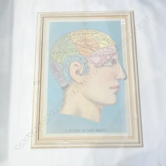 2008 PRINT 'A PICTURE OF GOOD HEALTH' FRAMED 800x600mm