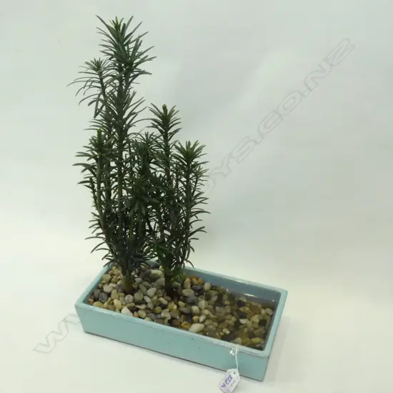 TWIN BONZAI PLANT IN 1 PLANTER H.500mm