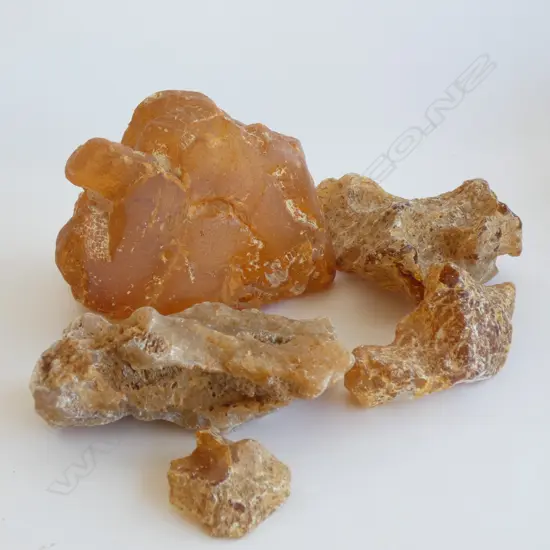 SM BOX KAURI GUM NUGGETS (16169/20134) 