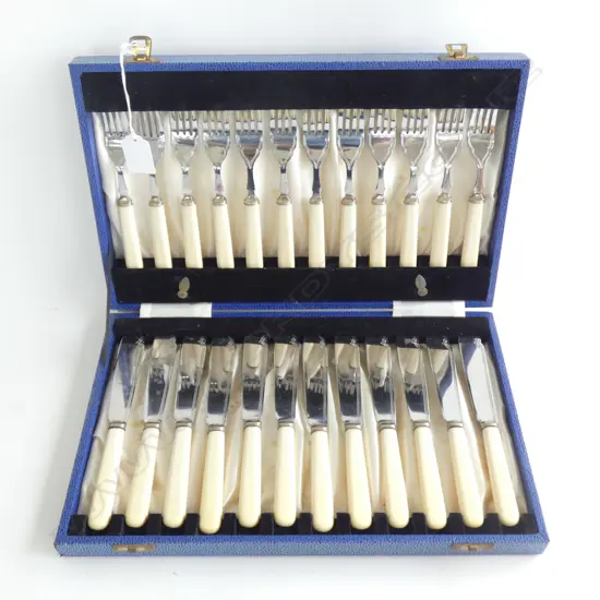 CASED SET 'BONE' HANDLED FISH KNIVES 
