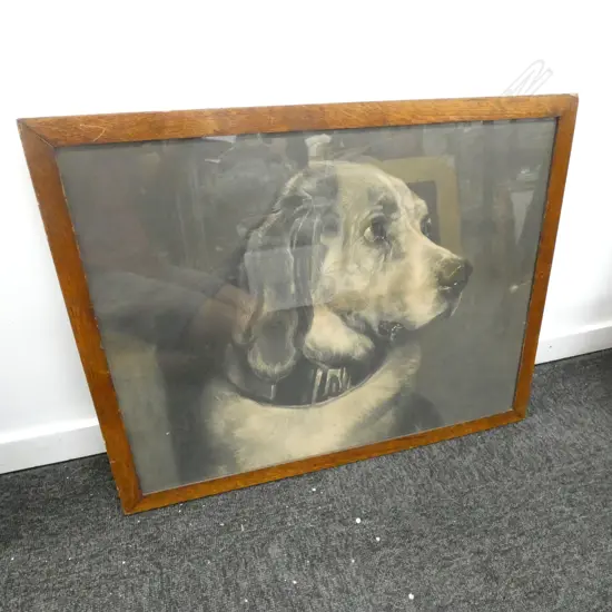 FRAMED DOG LITHOGRAPH PRINT 445x570mm