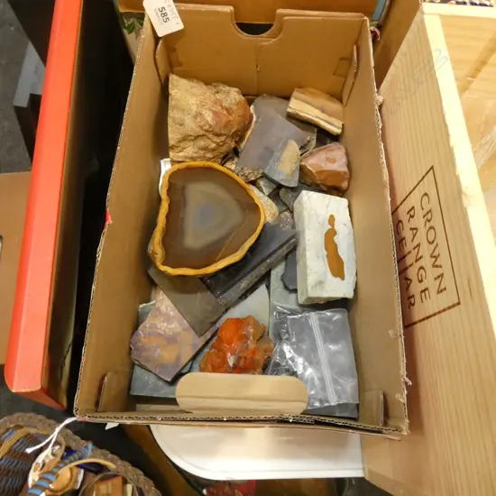 BOX LOT ASST. AGATES, PETRIFIED WOOD, FOSSILISED SHARK TEETH, JASPERS, TIGERS EYE ETC 4.2 KG