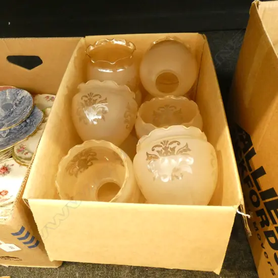 BOX LOT 12 GLASS LIGHT SHADES