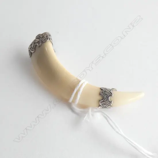 (20140) BOARS TUSK SILVER BROOCH NO PIN