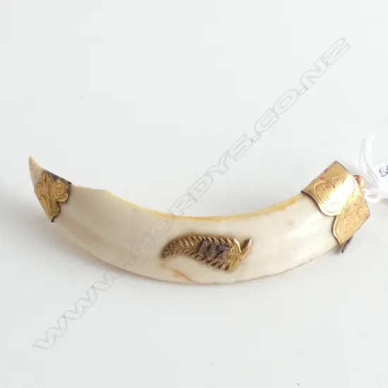 (201127) c1900 LGE 9CT MOUNTED BOARS TUSK  BROOCH...