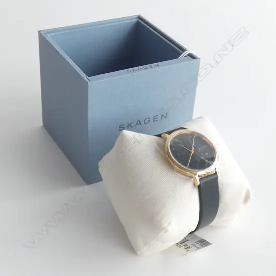 SKAGEN WRISTWATCH WITH BOX