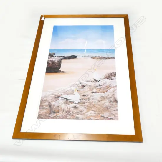 MEGAN LEE-RICHARDS ALBATROSS PRINT 32/750 890x530mm 