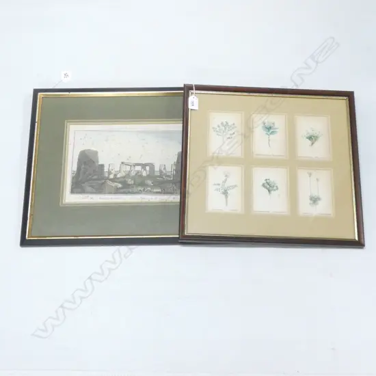 2 COLOURED ENGRAVINGS; 6 BOTANICAL PRINTS + STONEHENGE 195x310mm