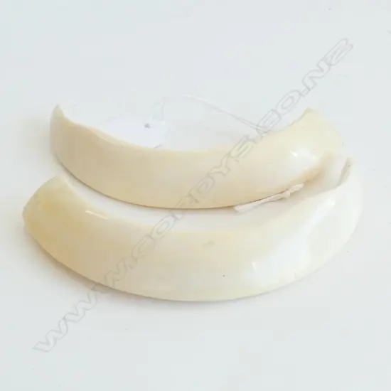 PAIR OF SMALL TUSKS (BOAR)