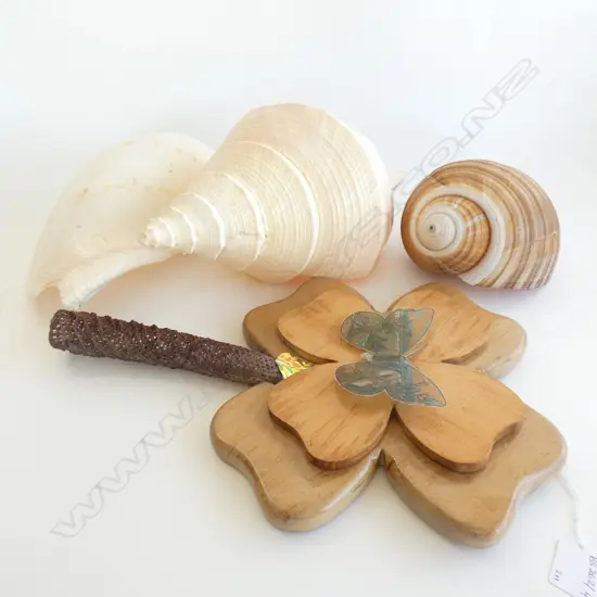 3 LARGE SHELLS L.420mm + RURALWOOD KAURI SHAMROCK