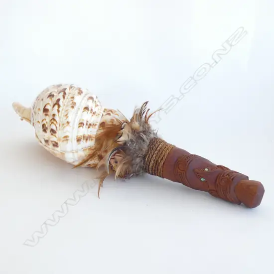 TRIDENT CONCH SHELL TRUMPET w. CARVED WOODEN MAORI END L.450mm 