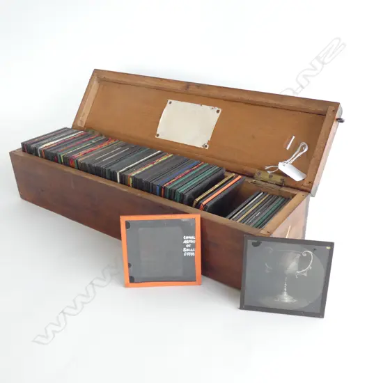 100 MAGIC LANTERN SLIDES MOSTLY NZ THEME