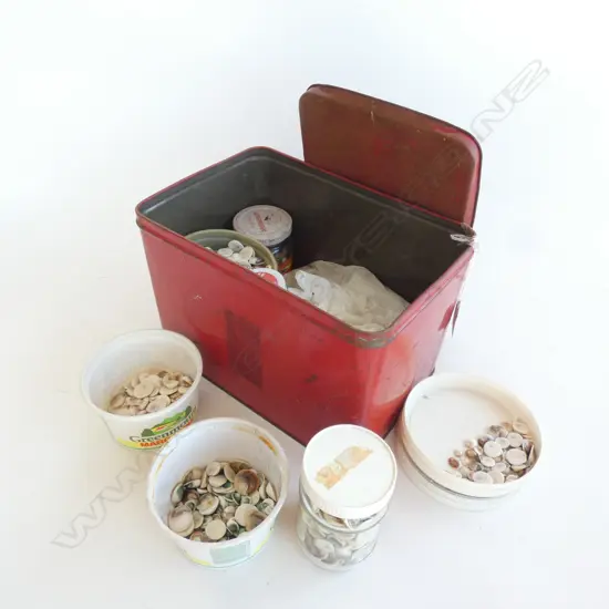 LG TIN  SMALL CATS EYE SHELLS - 1000'S