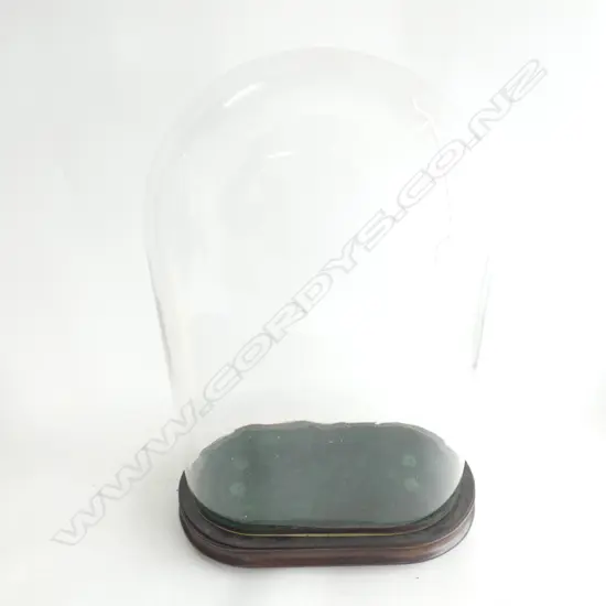 LG OVAL GLASS DISPLAY DOME WITH WOODEN BASE  350 X 190 X H500MM