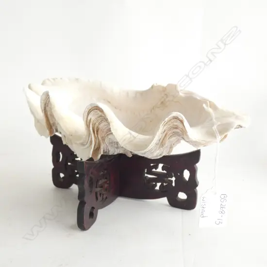 LARGE SHELL (L 265MM) WITH ORIENTAL WOODEN STAND 