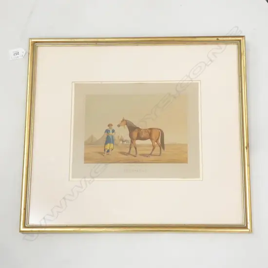 LITHOGRAPH OF EGYPTIAN HORSE 'THE ARABIAN' 215x275mm