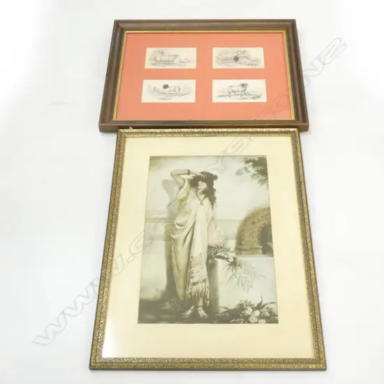 2 OLD PRINTS; 4 SHEEP LITHOGRAPHS & GRECIAN LADY 495x315mm