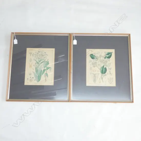PR BOTANICAL PRINTS 260x195mm