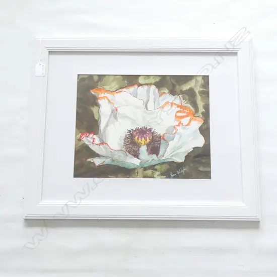 JANE WHYTE "WHITE POPPY" W/C 340 X 270MM