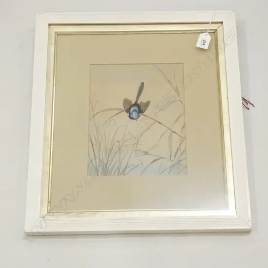 'BLUE WREN' WATERCOLOUR 'NEVILLE CAGLEY' (1895)  185 X 235MM