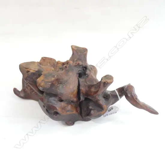 POLISHED MOUNTAIN AZALEA ROOT-WOOD VASE TABLE  H120 W343